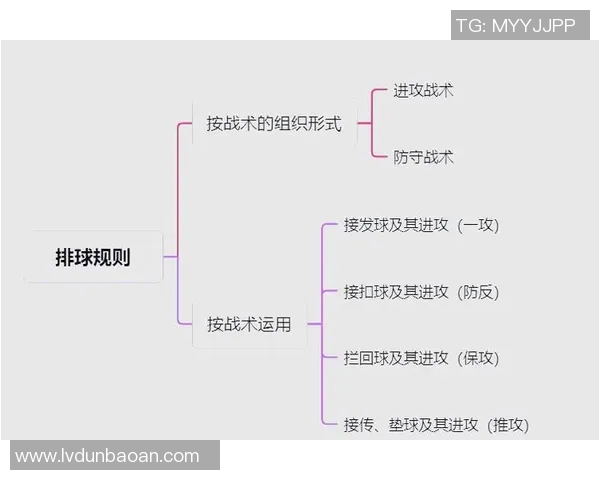 西安排球队中路突破战术解析与实战应用探讨 西安排球队中路突破战术解析与实战应用探讨