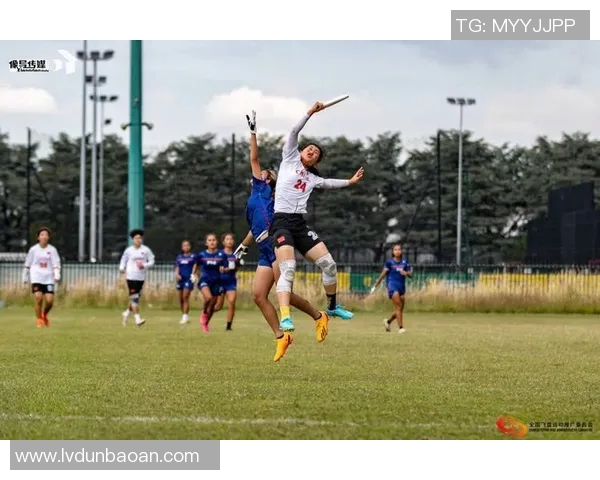 赛后分析：北京飞盘队与南京飞盘队的战术灵活性对比与启示