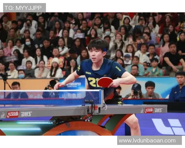 南京乒乓球队总决赛逆袭之旅背后的奋斗与荣耀揭秘