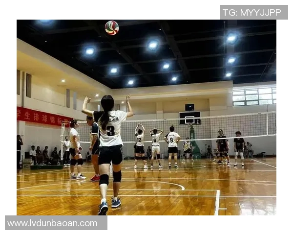 南京排球队团队协作新模式引发热议助力竞技水平提升