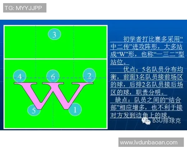 广州排球队的转换打法深度分析与战术创新探讨 广州排球队的转换打法深度分析与战术创新探讨