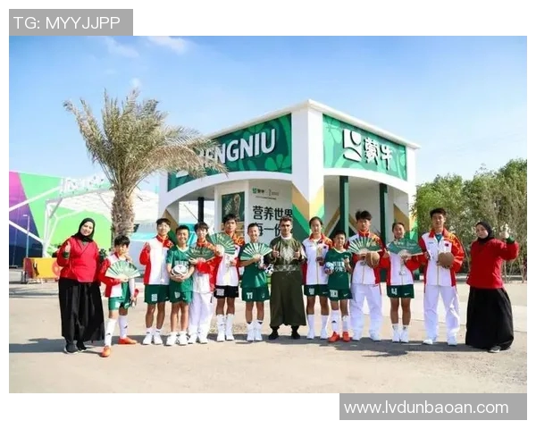 卡塔尔与中国足球友谊赛门票信息及购票指南详解