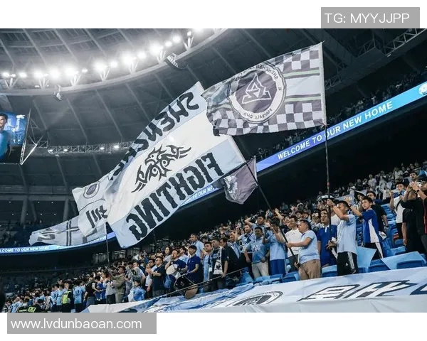 深圳排球队比赛经验引发热议球迷与专家观点大碰撞 深圳排球队比赛经验引发热议球迷与专家观点大碰撞